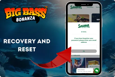 Password reset page for Big Bass Bonanza account