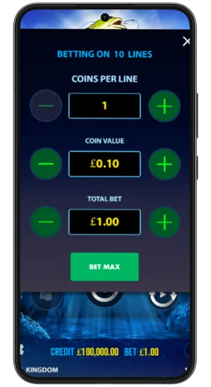 Bet size options in Big Bass Bonanza